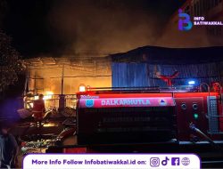 Si Jago Merah Kembali Mengamuk, Gudang dan Warung Ludes Terbakar
