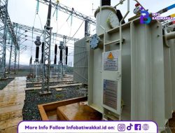 Singapura Investasi PLTS 50 MW di IKN, Perkuat Visi Kota Rendah Emisi
